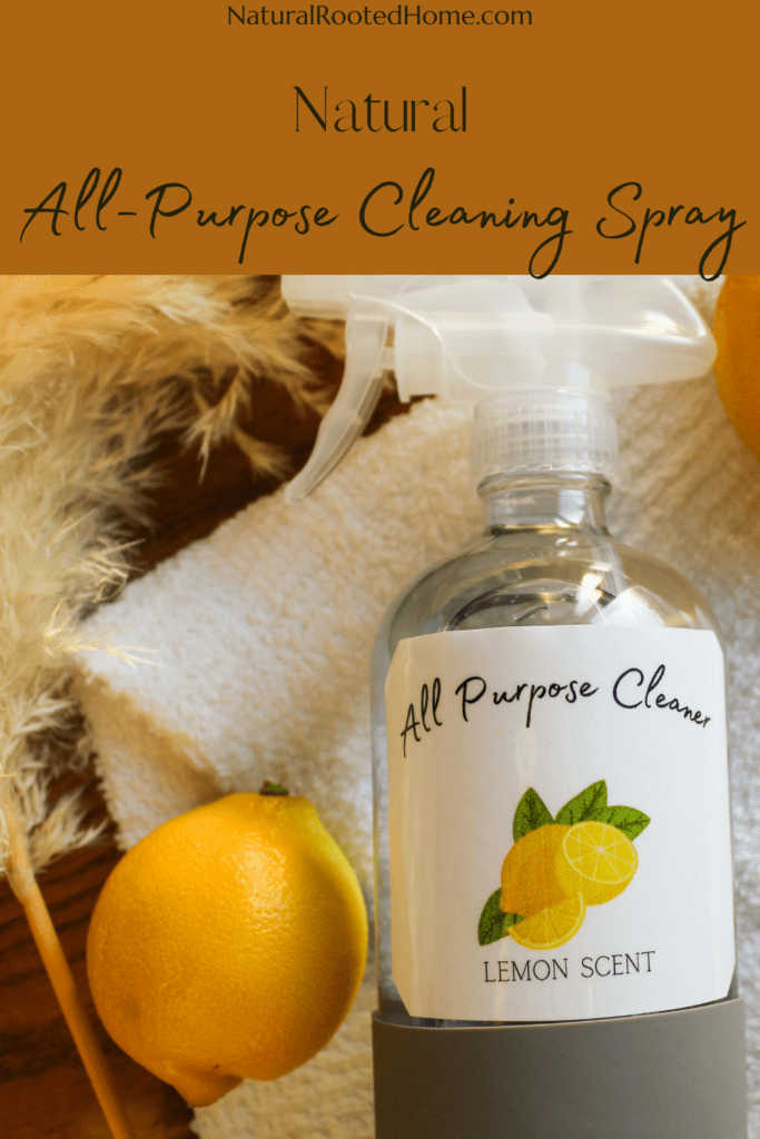 Natural All-Purpose Cleaning Spray