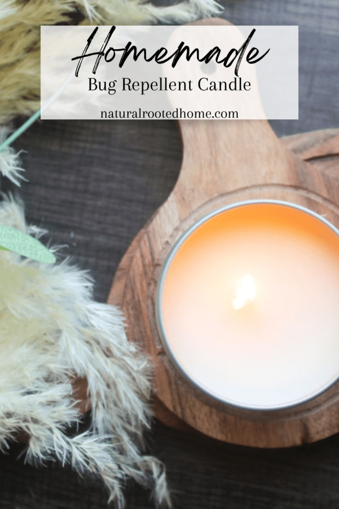 How to make a bug repellent candle