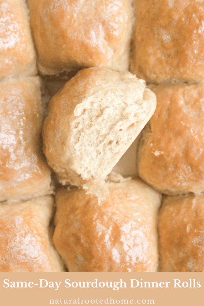 Same Day Sourdough Dinner Rolls on Pinterest