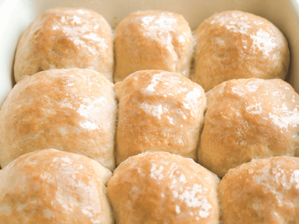 Same Day Sourdough Dinner Rolls