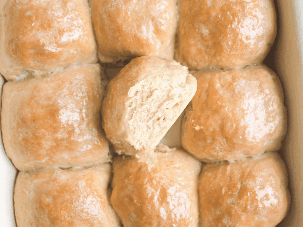 Same Day Sourdough Dinner Rolls