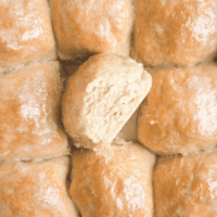 Same Day Sourdough Dinner Rolls