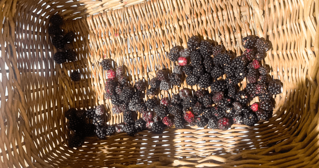 Old-Fashioned Homemaking Skills Every Wife Should Learn Face Serum Blog 6 1024x538