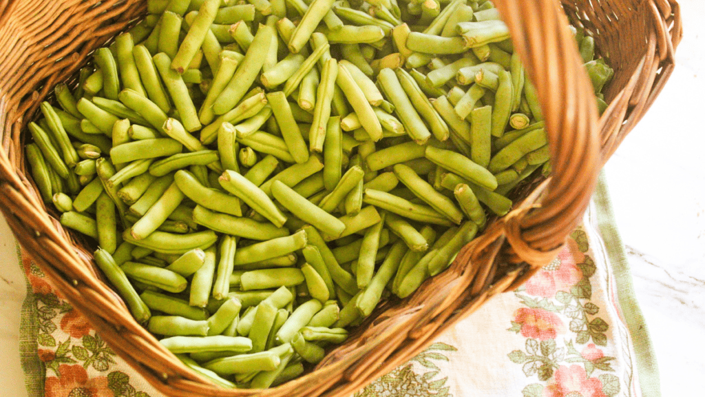 Freshly Picked Green Beans