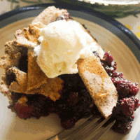 Wild Blackberry Pie Recipe
