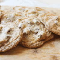 Old-Fashioned Chocolate Chip Cookie Recipe