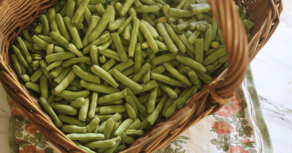 Garden Fresh Green Beans