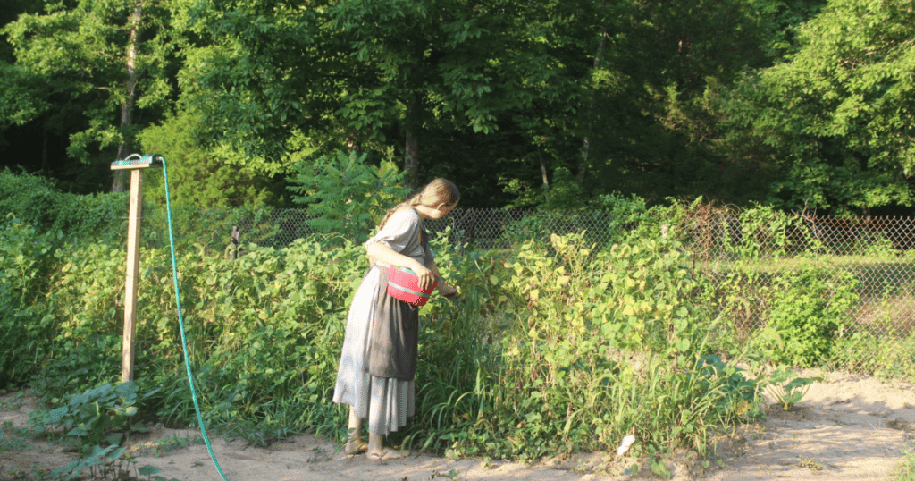 Summer Garden Harvest Zone 7B