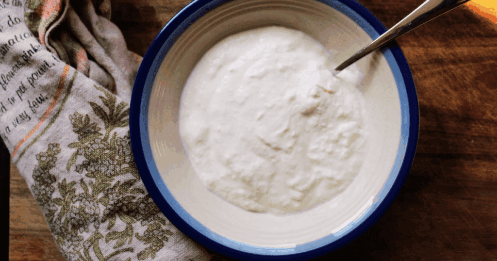 Greek Yogurt in the Instant Pot Homemade Greek Yogurt Recipe