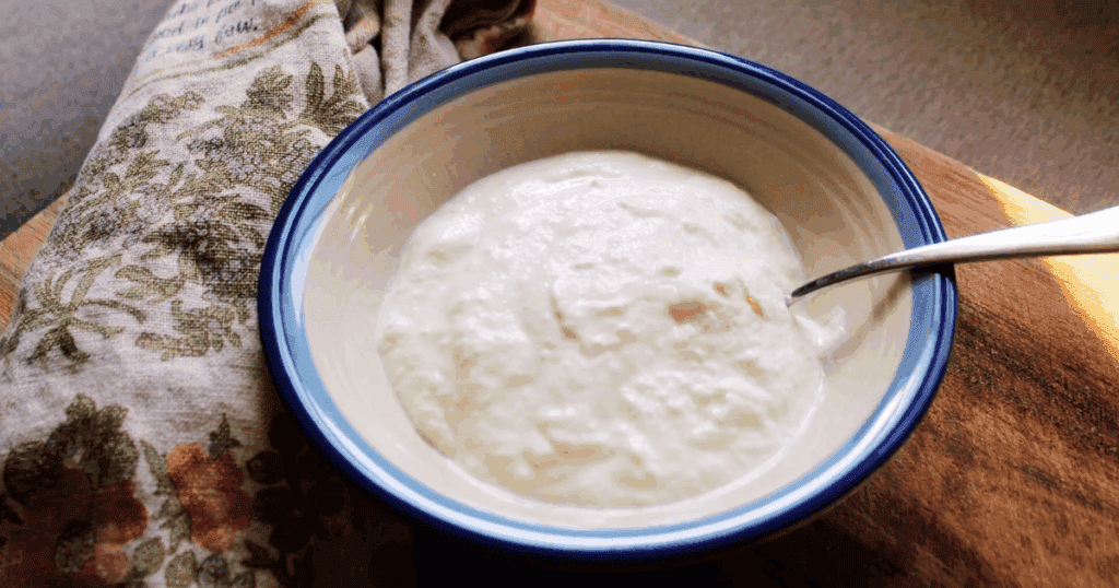 Greek Yogurt in the Instant Pot Gut Healthy Greek Yogurt Recipe