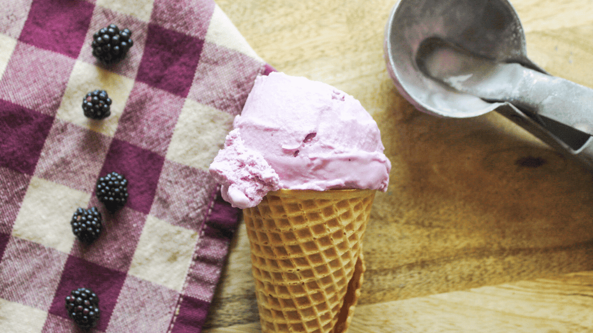 Close-up of blackberry ice cream highlighting creamy texture and berry pieces
