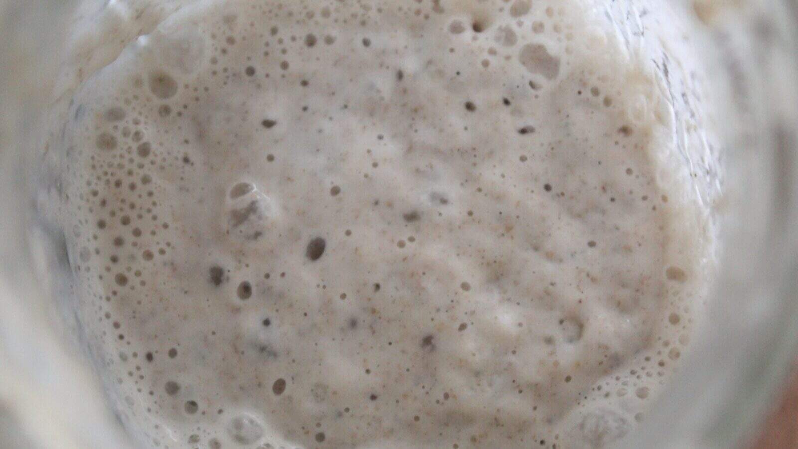 Same Day Sourdough Bread Active sourdough starter with bubbles showing it is ready to use.