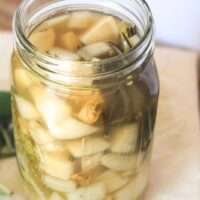 Fire Cider Recipe Homemade fire cider recipe in a glass jar with fresh ginger, garlic, and jalapeño.