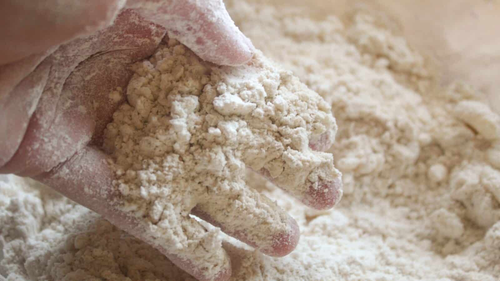 Close-up of lard pie dough with sandy texture after cutting in lard