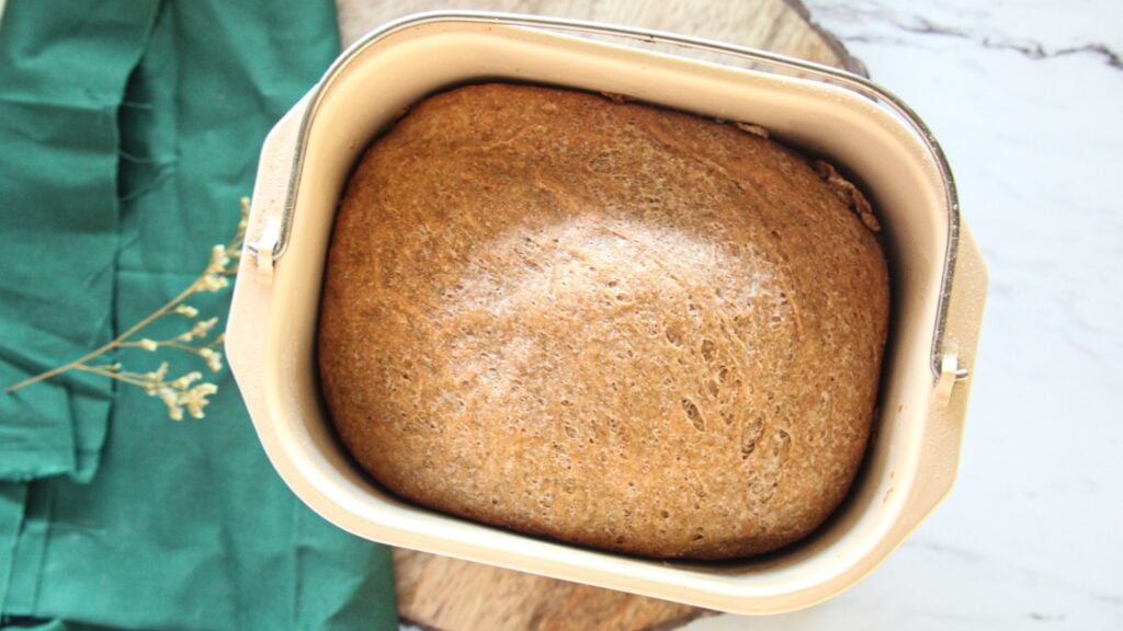 Whole wheat bread still in the bread pan