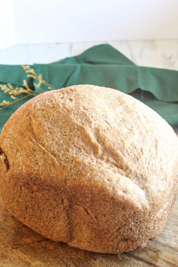 Whole wheat bread fresh from the bread machine loaf